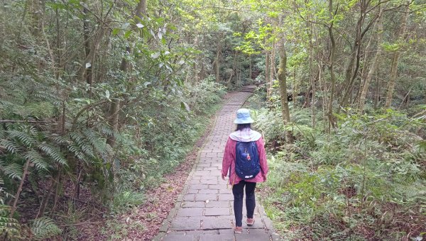 (姨婆趴趴走)第五十五集:攀登健走台北大崙頭尾山親山步道環狀一圈2853764
