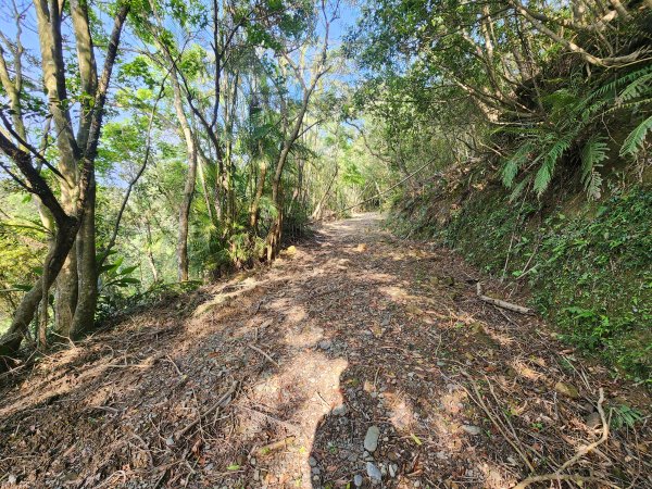 20250404雙十縱走失敗撤退改走蝙蝠山2892558