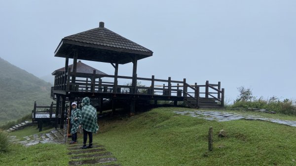 桃源谷絕美海岸草原1896040