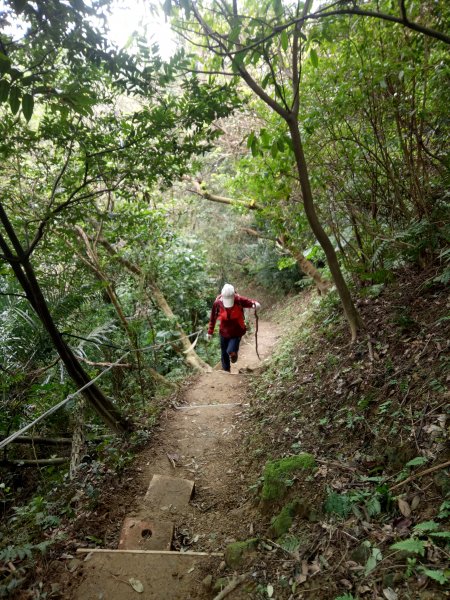 三峽鳶山+鳶山彩壁+五十分山(茅埔路起登)1876729