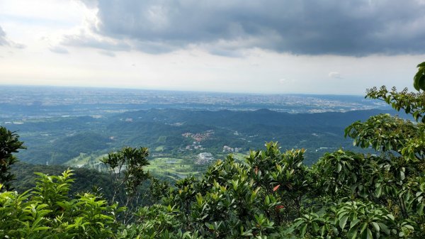 桃園金面山，金山面山，五酒桶山，南崁山，山鼻山，營盤坑古道，乳姑山，平遍山，赤柯山縱走東獅頭山1787222