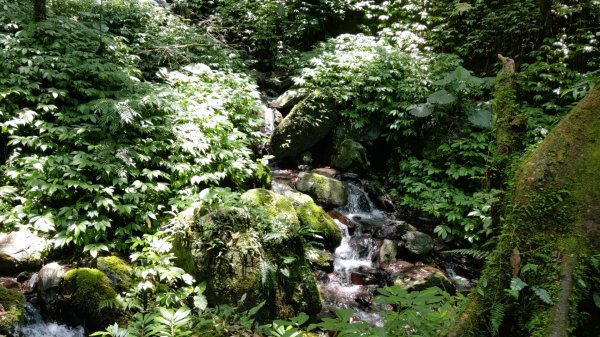 三角崙山聖母山莊083（抹茶山）1000830