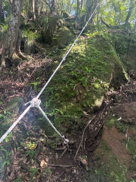 20250601 柑柑柑腳山2801042