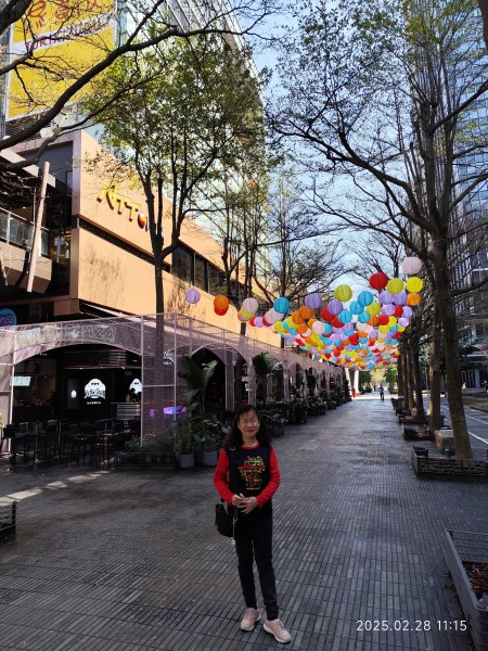 台北信義商圈步道、大港墘公園夜景2723246