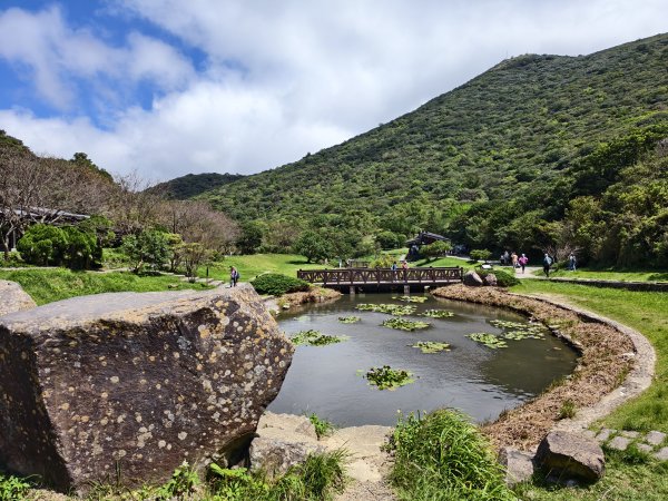 [百山百鳥尋旅-11/15] 2025_0927 大屯主峰-連峰步道_二子坪步道2899555