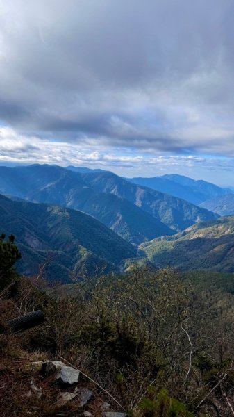 20250122 三角貓🐱遊玉山前峰玩瘋了🌀2698270