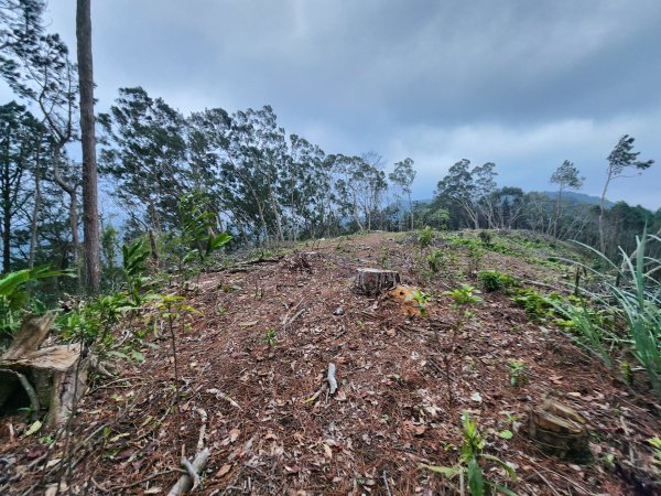 20260208五分寮頂山內大坪山石硬山O型3005235