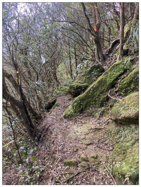 皇帝殿石壩尖、東峰、西峰連走(北峰登山口)2675644