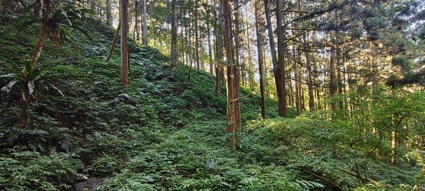 2025/12/06-光高天+南大龜+向天湖+三角湖山2957687