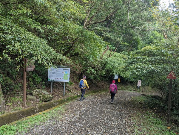 【百大必訪步道】東滿步道1520744