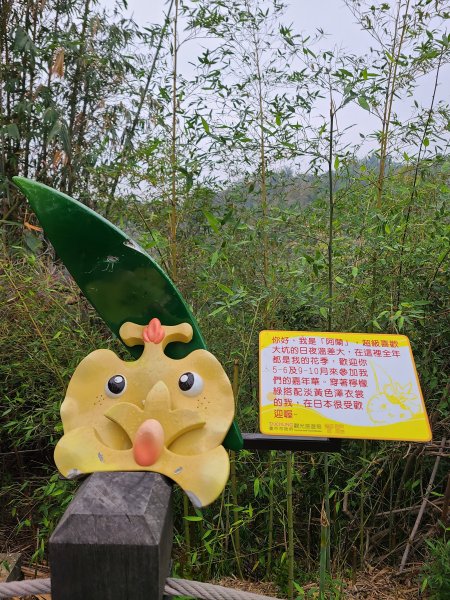 大坑10號提前修好啦(10號上+6號+7號下)2753640