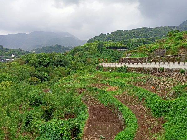 春遊天母→猴洞→半嶺→翠峰步道→翠峰瀑布→天母古道1667767