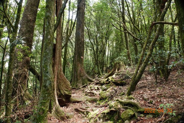 臺中 和平 鞍馬山1697266