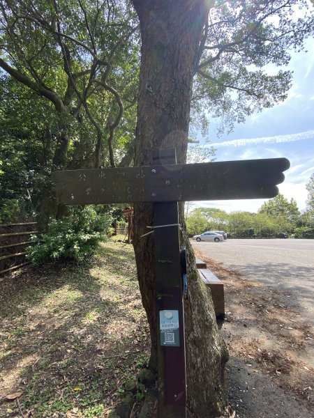 如墨暈染的春日邂逅｜中山樓墨染櫻 × 北投步道探花記2853890