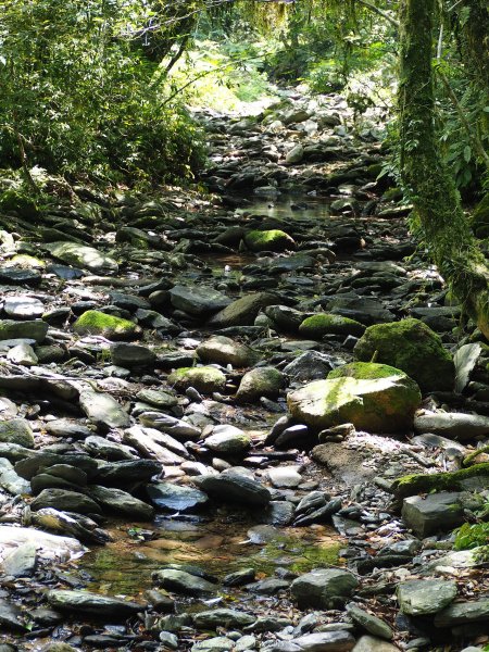 《宜蘭》植物博物館｜員山福山植物園201805182889172