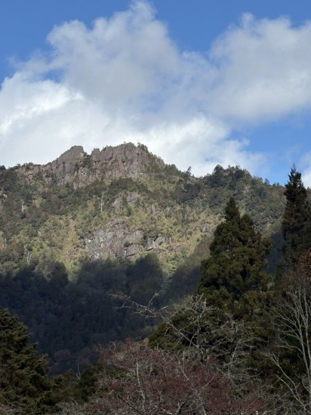20251225塔山步道(大塔山)2970472