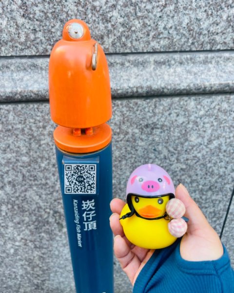 基隆尋找7隻傘人家族2712721