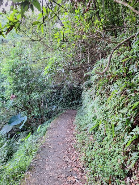 冬山梅花湖中山步道+大陂丘山202509292901658