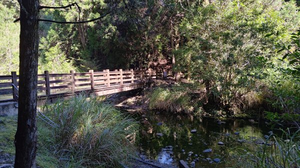 榛山景觀平台2918096