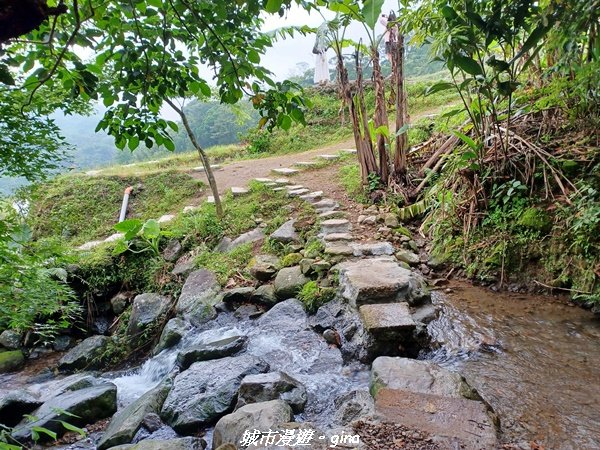 【新北石門】全台唯一火山岩石砌梯田。 嵩山百年梯田阡陌步道2823939