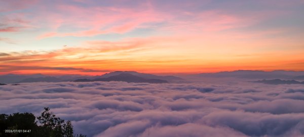 #石碇後山 #霞光 #日出 #雲海 #火燒雲 #魔目裳蛾 7/1&33080443
