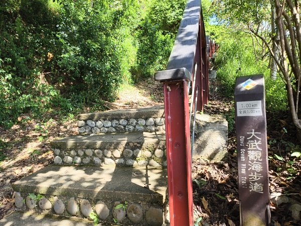 [漫遊縱谷 愛在花東-01/10] 2025_1011 大武觀海步道2912901