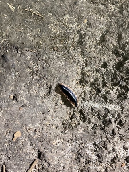 夜爬七星山1797794