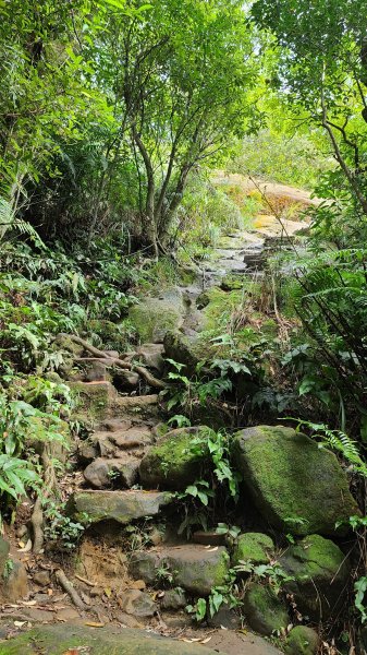 2020-1116象山-九五峰-虎山1171850