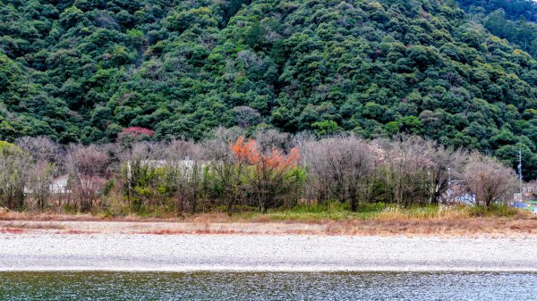 織田信長的天下夢2980794