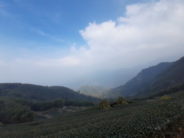 四天皇山知鳥山青園山篤鼻山1264654