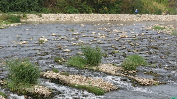 《台中》冬日暖陽｜筏子溪門戶迎賓水岸廊道健行賞鳥202601182983613