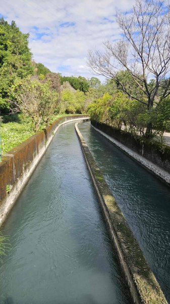 20251229龍潭大池自行車道-三林自行車道-名人棒球堂飯店-石門大草坪-林埤古道-石門水庫2974595