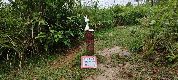 2026/04/24 鵲子山步道3043034