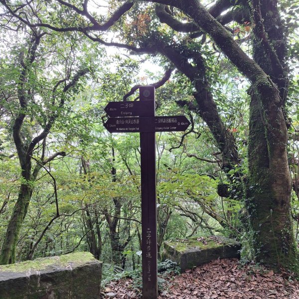 2025臺北大縱走：二子坪到關渡捷運站-第一段完成!2784690