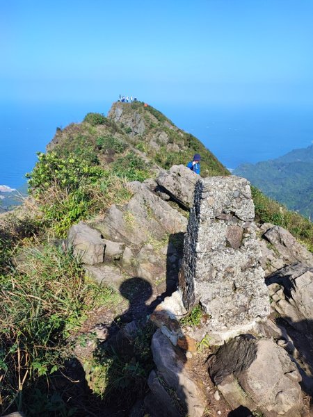 半屏山/燦光寮山賞芒花2412000