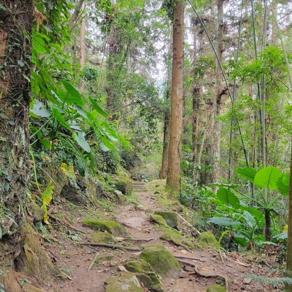 福山古道1554255