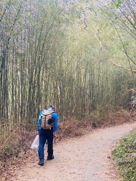 1140101元旦爬山趣2680838