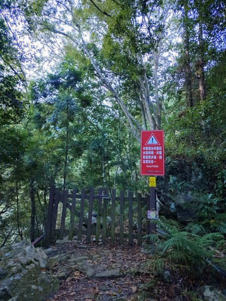 佳保台山-八仙山2910250