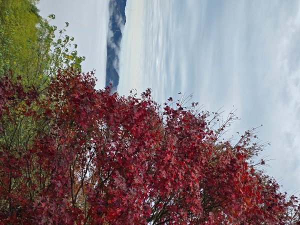 馬那邦山之雲海／雲瀑／楓紅／太陽琉璃光2676341