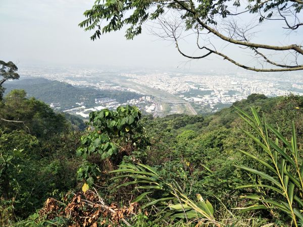 2018 04 18 咬人狗坑登山步道(三汀山)314142