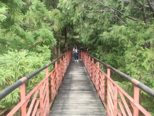 1150728茂興懷舊步道3097238