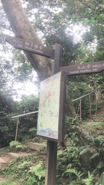 20190608新店獅頭山步道612420