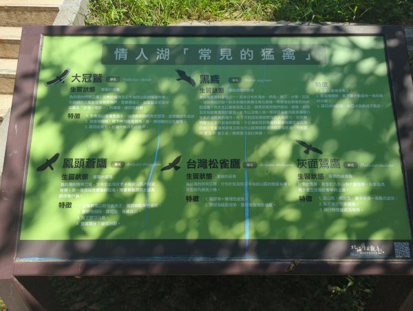 2025.09.13－情人湖步道&大武崙山2885821