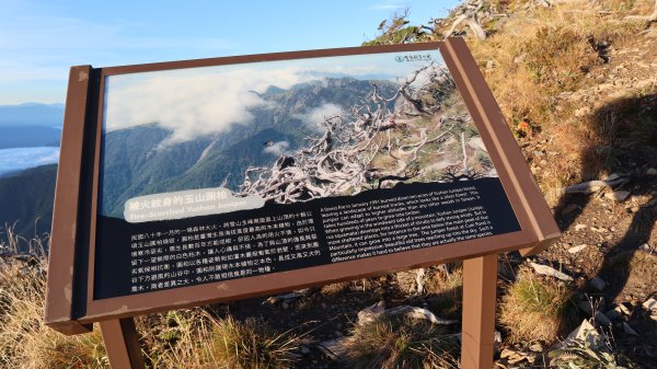 雪山主東峰登山健行趣(百岳02號＆74號)1882720