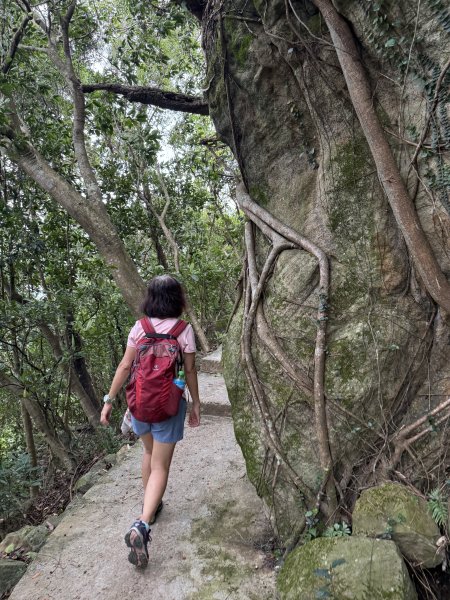 劍潭山+老地方202507192863875