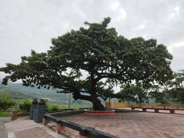 [屏東獅子][四]鐵劍山、竹坑山、坪埔厝山、牡丹路下山、嘉祿堂山