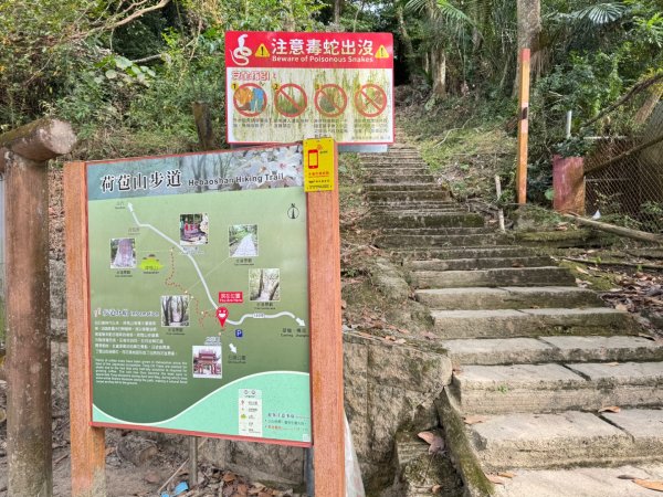 古坑地母廟走荷苞山(登山步道)訪小溪子山2946773