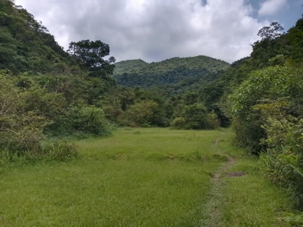 雙溪區崩山坑古道+下坑山稜線越嶺路+下坑山O型2839788
