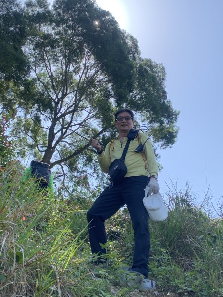 20250322南投松柏坑山-大棚山2745854