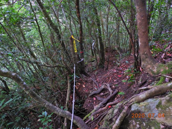 新竹 五峰 大窩山、比林山1020604